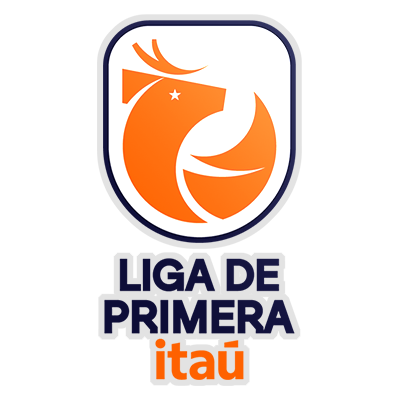 Primera Division logo